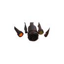 Aspck Steckerkabel -pointsystem 13 Pol 8 m-2