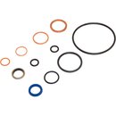 Dichtsatz fr Chapel-Pumpenkopf 015000214