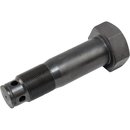 Lagerschraube fr hhenverst. AE, ZKV25 + 35